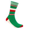 Le Patron Classic Jersey Bartali Socks italian green 35-38