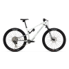 Rocky Mountain Element Carbon 99 (29) M white/grey