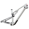 Rocky Mountain Element Carbon Frameset (29) M white/grey